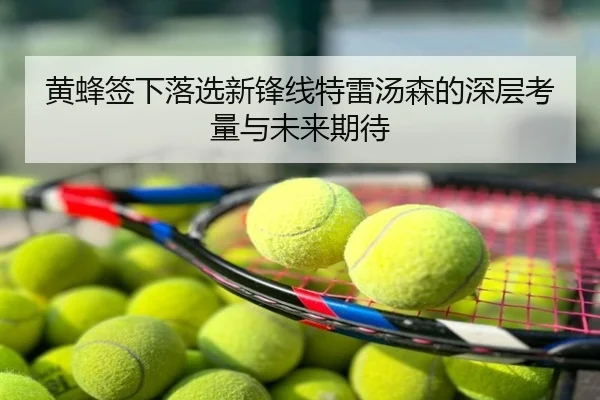 黄蜂签下落选新锋线特雷汤森的深层考量与未来期待